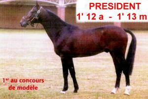 president