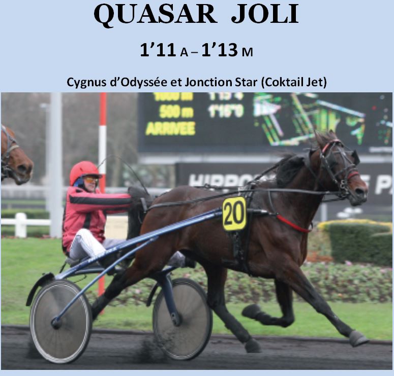 QUASAR JOLI